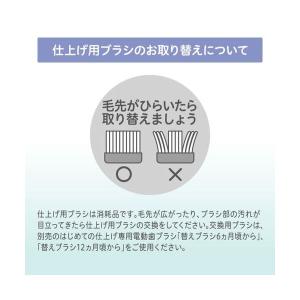 ピジョン はじめての仕上げ専用電動歯ブラシ 替...の詳細画像4