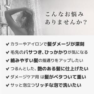 (セール)いち髪 ザプレミアムエクストラダメー...の詳細画像4