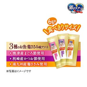銀のスプーン にっぽんセレクト とろリッチ 3...の詳細画像4