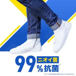 Dr.Scholl(ドクターショール) 靴用消...の詳細画像5