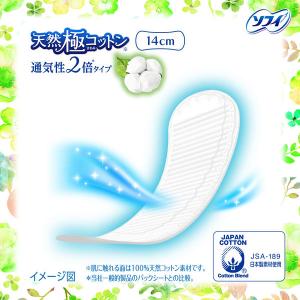 (セール)パンティライナー 生理用品 ソフィ ...の詳細画像1