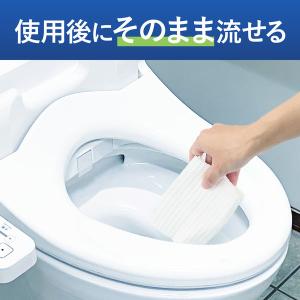 HibiFull ヒビフル 流せるトイレのお掃...の詳細画像3