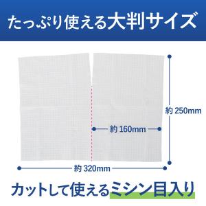 HibiFull ヒビフル 流せるトイレのお掃...の詳細画像4