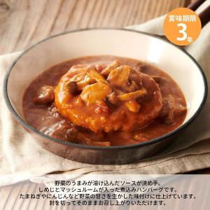 【非常食】杉田エース IZAMESHI イザメ...の詳細画像3