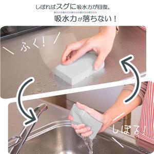 キッチン まるごと スウノ 超吸水スポンジ 一...の詳細画像4
