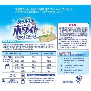 ハーバルスリー ニューホワイト 900g 1個...の詳細画像1