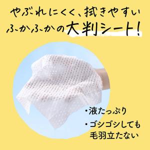 メリットキッズ あたまさっぱりシート 12枚入...の詳細画像5