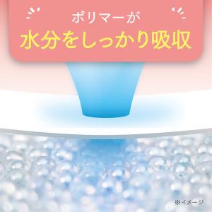 【吸水ナプキン】ポイズ 50cc 23cm 羽...の詳細画像3