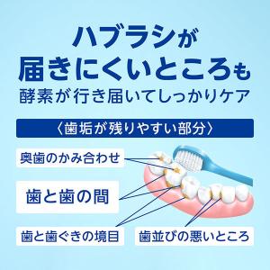 歯磨き粉 ハミガキ ライオン クリニカPRO ...の詳細画像5