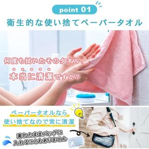 ハンカチいらずのペーパータオル ポケットティッ...の詳細画像1