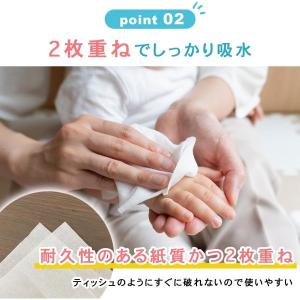 ハンカチいらずのペーパータオル ポケットティッ...の詳細画像2