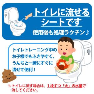 【ロハコ限定】あかちゃんの流せるおしりふき 水...の詳細画像5