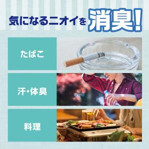 衣類のシワ伸ばしミスト シワトル 無香料 30...の詳細画像5