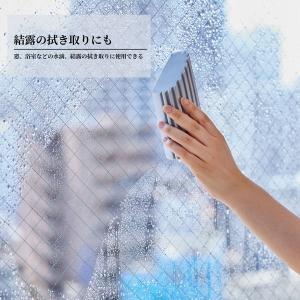 吸水おそうじスポンジ 1個 日本クリンテックの詳細画像4