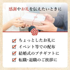 (限定・ギフト)ご挨拶スポンジ パックスナチュ...の詳細画像4