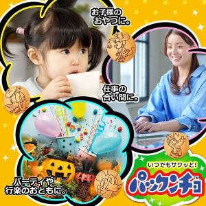 パックンチョ チョコ 大袋 9パック入 101...の詳細画像5
