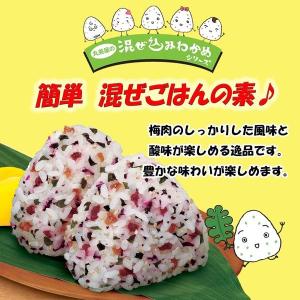 丸美屋 混ぜ込みわかめ 梅じそ 29g 1個 ...の詳細画像3