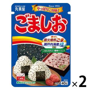 丸美屋 ごましお 40g 1セット（1個×2）丸美屋食品工業 ふりかけ