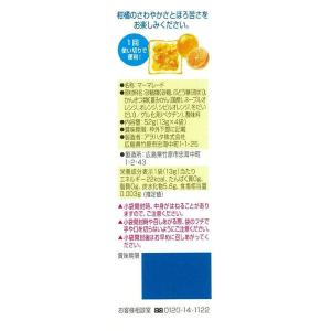 アヲハタ55 オレンジママレード(13g×4)...の詳細画像2