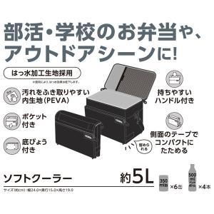 サーモス ソフトクーラー 5L オールブラック...の詳細画像3