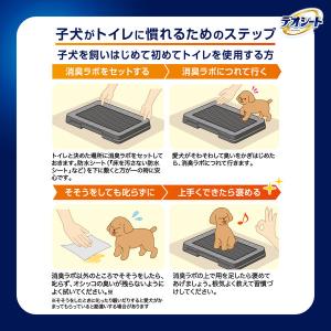 デオシート 消臭ラボ トイレシステム 専用 メ...の詳細画像4