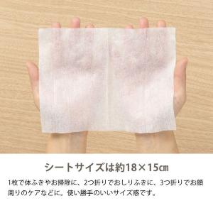 ペット用 ウェットティッシュ ノンアルコール ...の詳細画像4