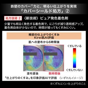 KATE(ケイト)カバーシールド パウダーファ...の詳細画像3