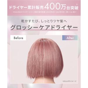 SALONIA(サロニア) グロッシーケアドラ...の詳細画像4