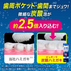歯磨き粉 フッ素 ピュオーラ 炭酸ハミガキ 9...の詳細画像5