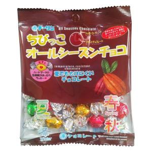 チョコレート 個包装 ちびっこ オールシーズンチョコ 20g 1袋 チーリン製菓