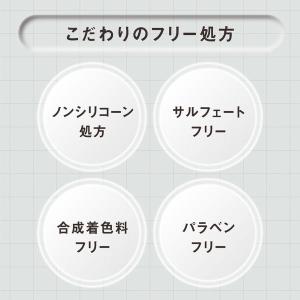 数量限定 THE ANSWER(ジアンサー) ...の詳細画像3