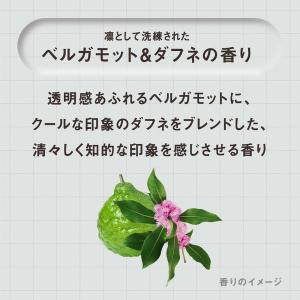 THE ANSWER(ジアンサー) EXリペア...の詳細画像3