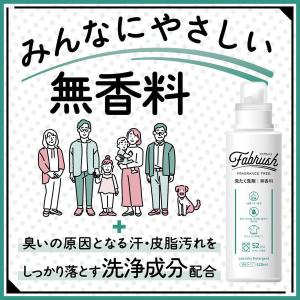 fabrush(ファブラッシュ) 無香料 大容...の詳細画像3