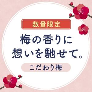 【数量限定】入浴剤 炭酸 アソート 温泡 こだ...の詳細画像1