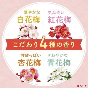 【数量限定】入浴剤 炭酸 アソート 温泡 こだ...の詳細画像2