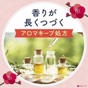 【数量限定】入浴剤 炭酸 アソート 温泡 こだ...の詳細画像3