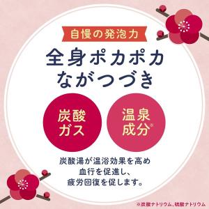 【数量限定】入浴剤 炭酸 アソート 温泡 こだ...の詳細画像4