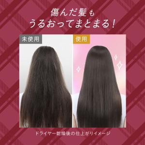 【アウトレット】数量限定 エッセンシャルプレミ...の詳細画像4