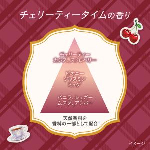 【アウトレット】数量限定 エッセンシャルプレミ...の詳細画像5