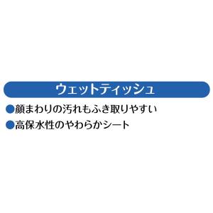 ウェットティッシュ ペット用 ペットキレイ 除...の詳細画像4