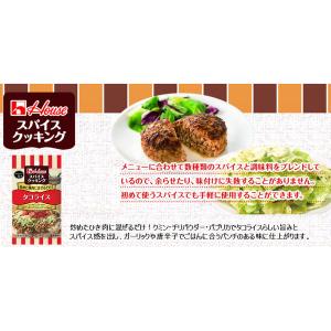 スパイスクッキング タコライス 1個 時短 料...の詳細画像3