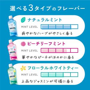 マウスウォッシュ 口臭 サンスター Ora2 ...の詳細画像5