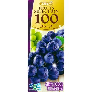 【アウトレット】エルビー Fruits Sel...の詳細画像1
