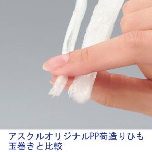 信越工業 PP 荷造りひも(太幅)白 200×...の詳細画像1