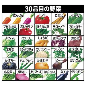 カゴメ 野菜一日これ一本長期保存用190g 3...の詳細画像2