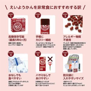 【非常食】井村屋 えいようかん 2453 1組...の詳細画像4