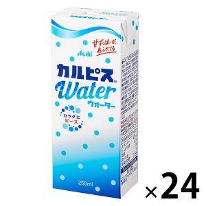 カルピス カルピスウォーター250ml紙容器 29016 1箱(24本入)