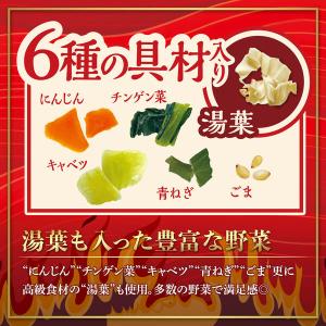 麻辣湯(マーラータン)ビリッ辛味 カップ麺 8...の詳細画像5