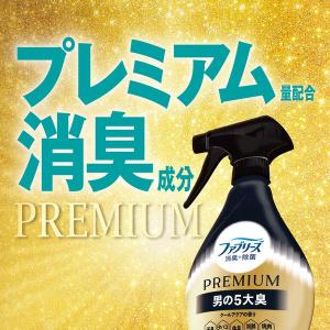 ファブリーズ 消臭+除菌 プレミアム 男の5大...の詳細画像2