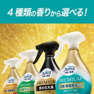 ファブリーズ 消臭+除菌 プレミアム 男の5大...の詳細画像5